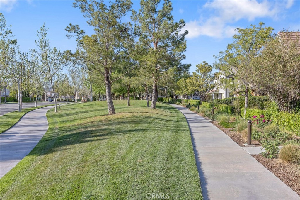 27598 Olive Mill Court