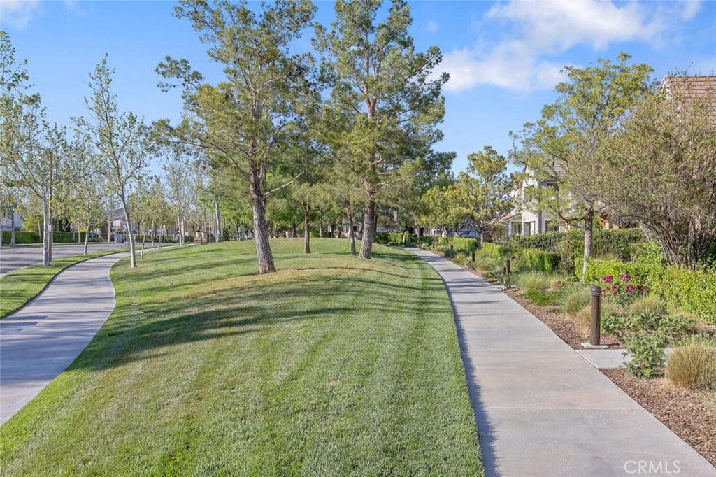 27598 Olive Mill Court