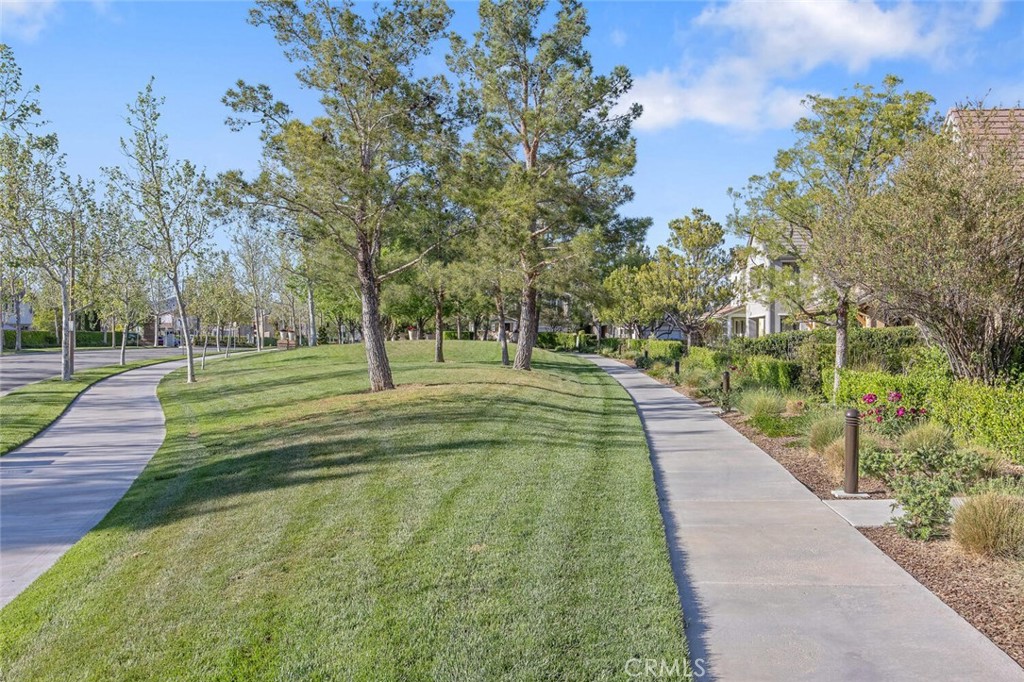27598 Olive Mill Court