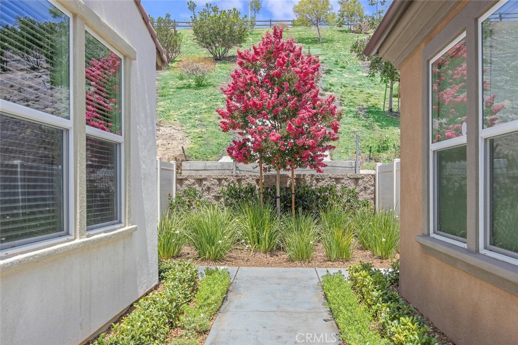 20533 Martingale Place