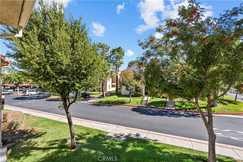 2554 Olive Drive 116