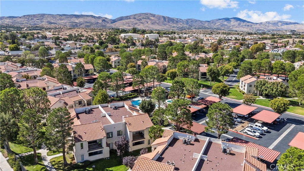 2554 Olive Drive 116