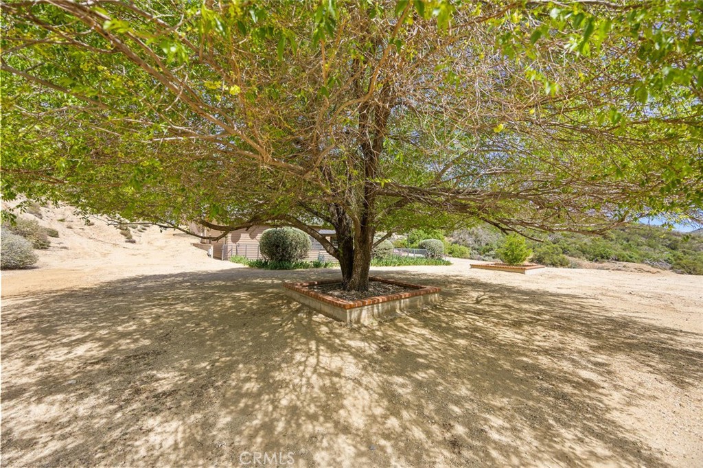 11551 Lonesome Valley