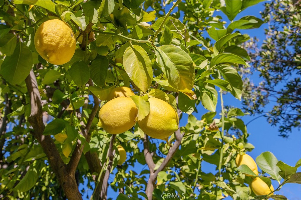 21665 Canyon Heights Circle