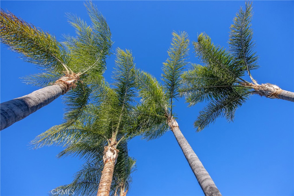 21665 Canyon Heights Circle