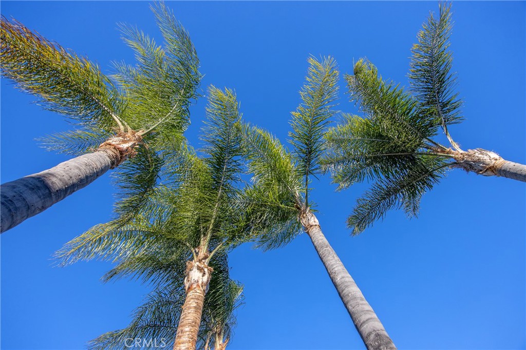 21665 Canyon Heights Circle