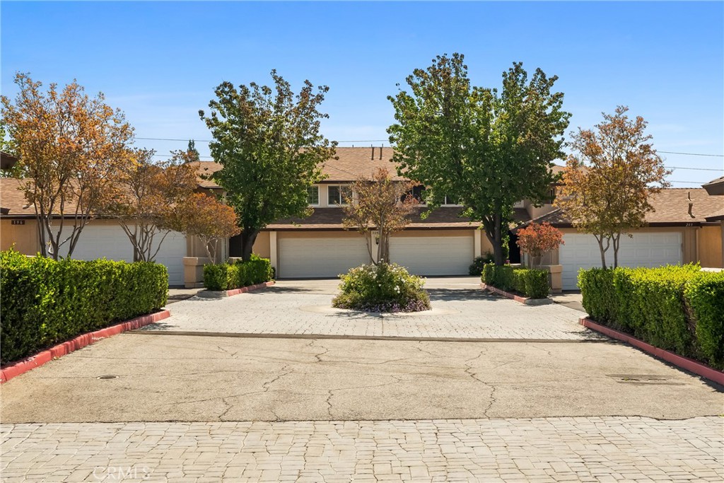 22914 Banyan