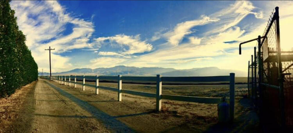 59105 Lincoln Street