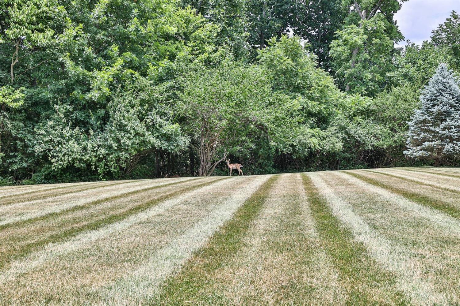 1204 Saddletop Ridge