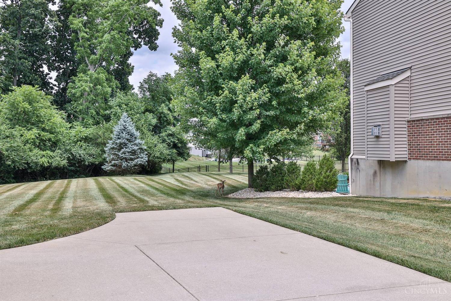 1204 Saddletop Ridge