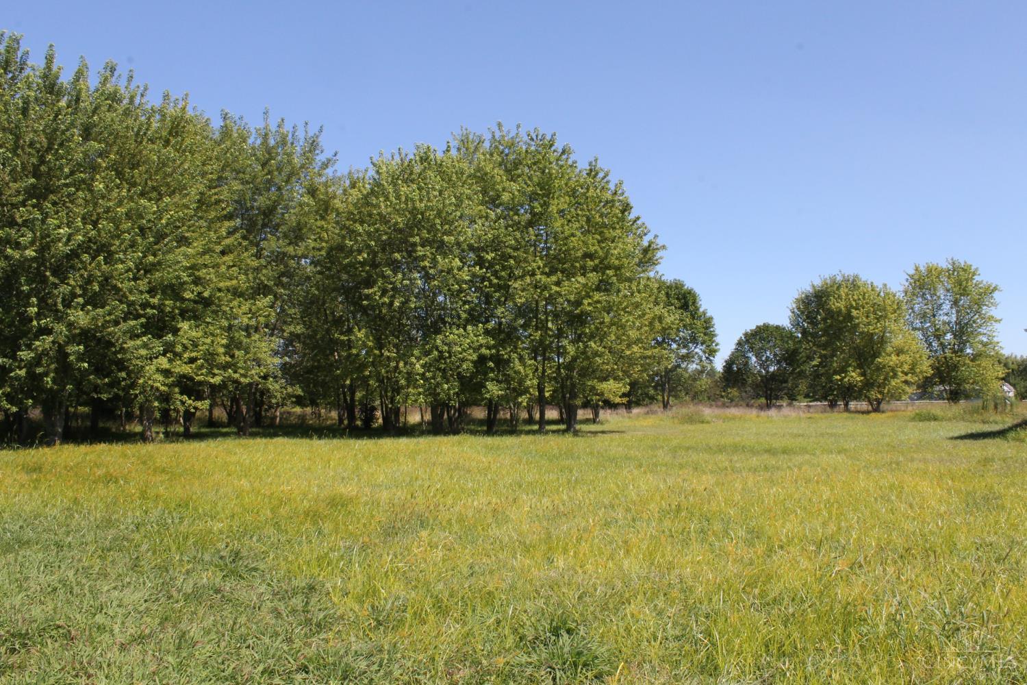 216 Pansy Road