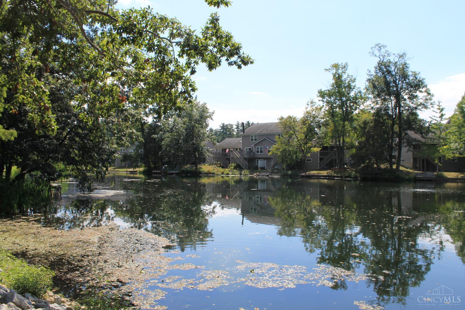 7037 Tradewind Court