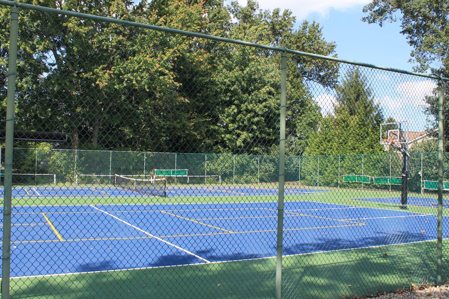 7037 Tradewind Court