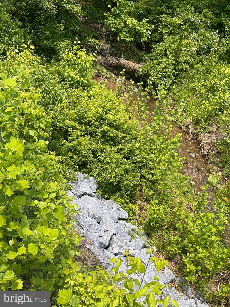 Potomac