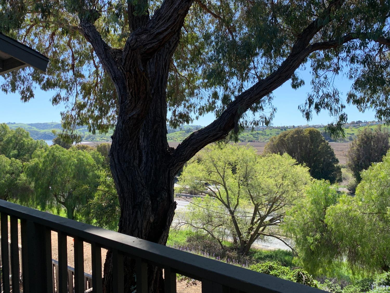 900 Cambridge Dr #74