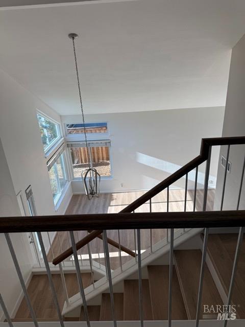503 Lupine Cir