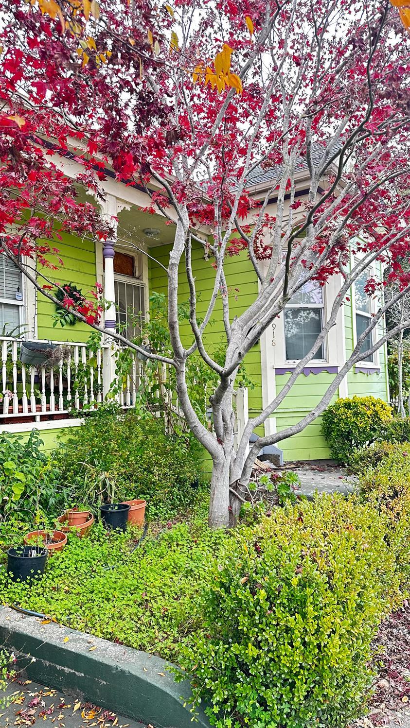 918 Alameda Street