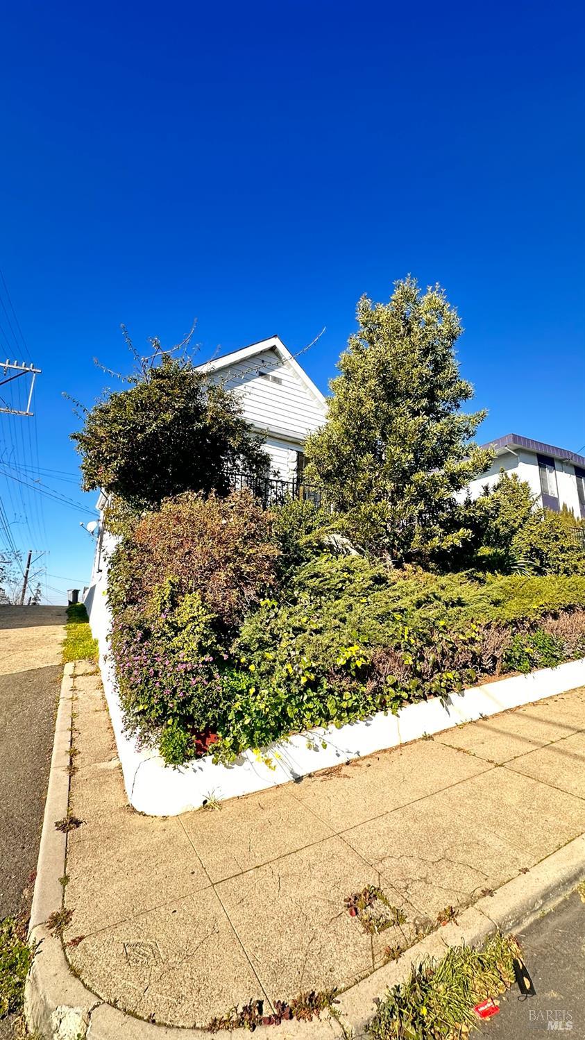 517 Branciforte Street