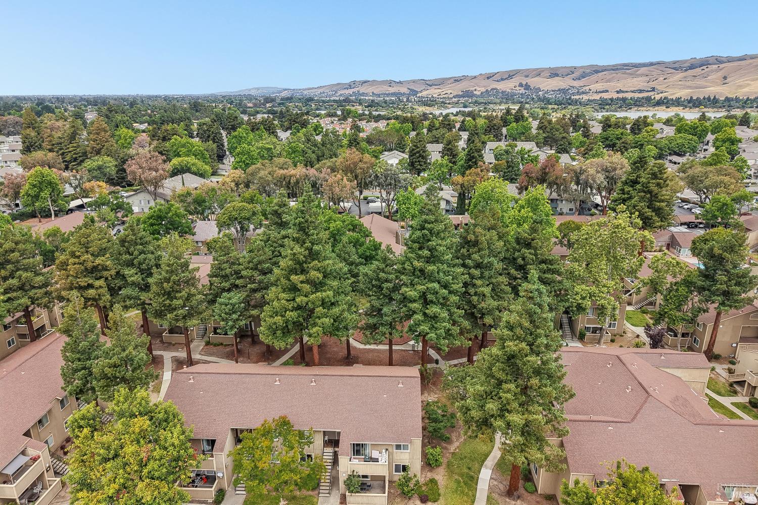 3383 Foxtail Terrace