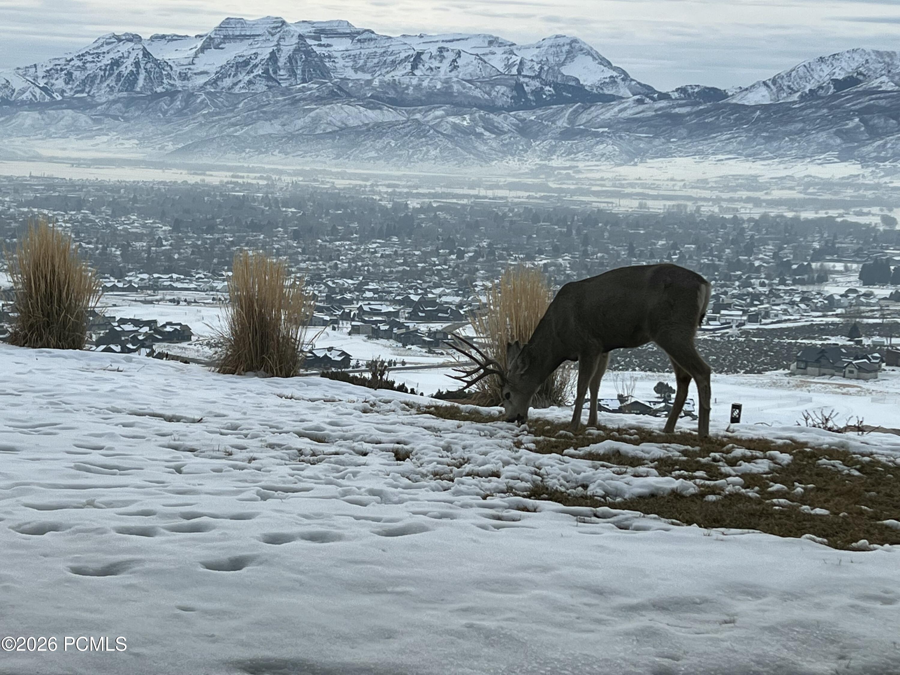 1125 N Explorer Peak Dr