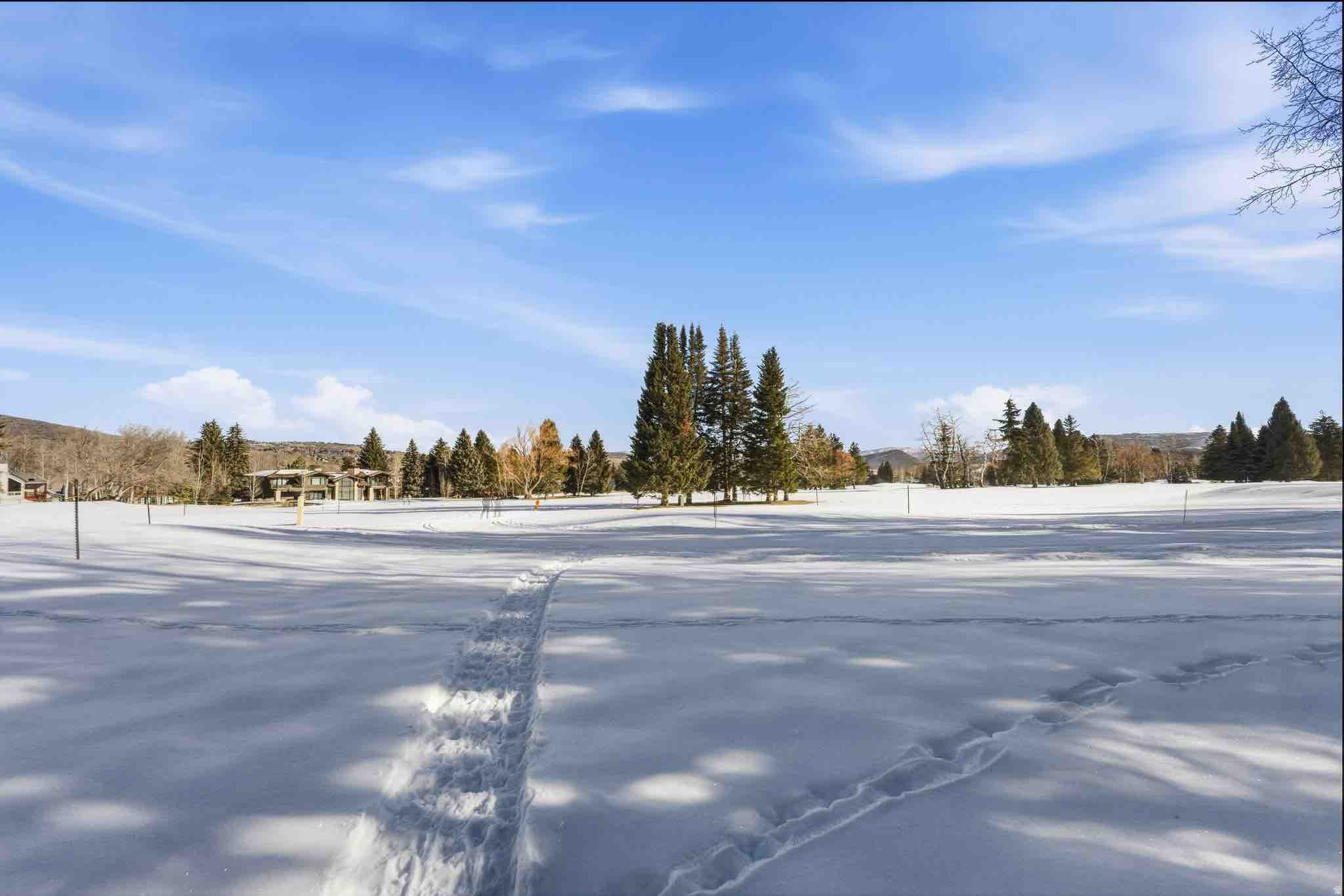 74 THAYNES CANYON DR