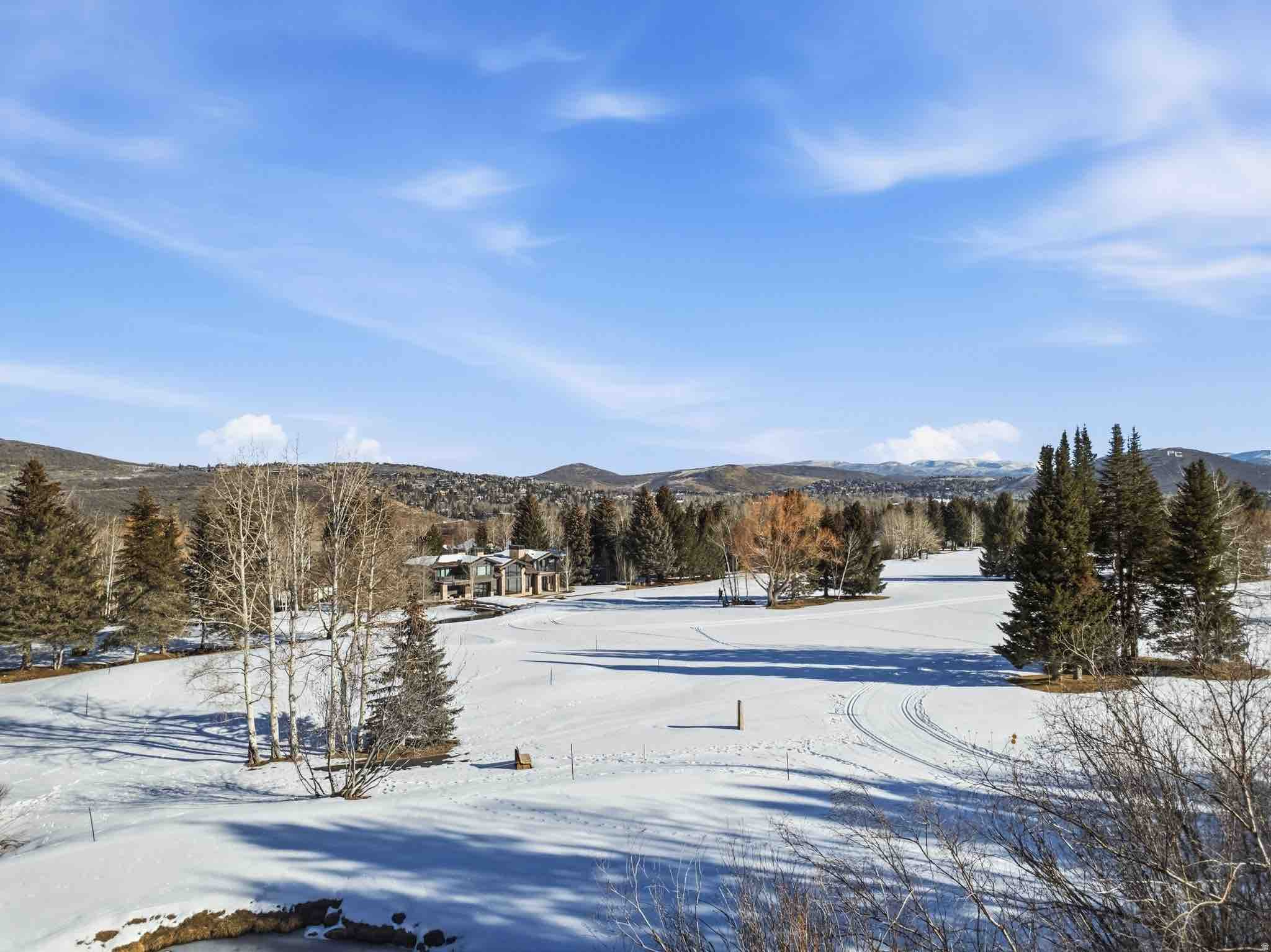 74 THAYNES CANYON DR