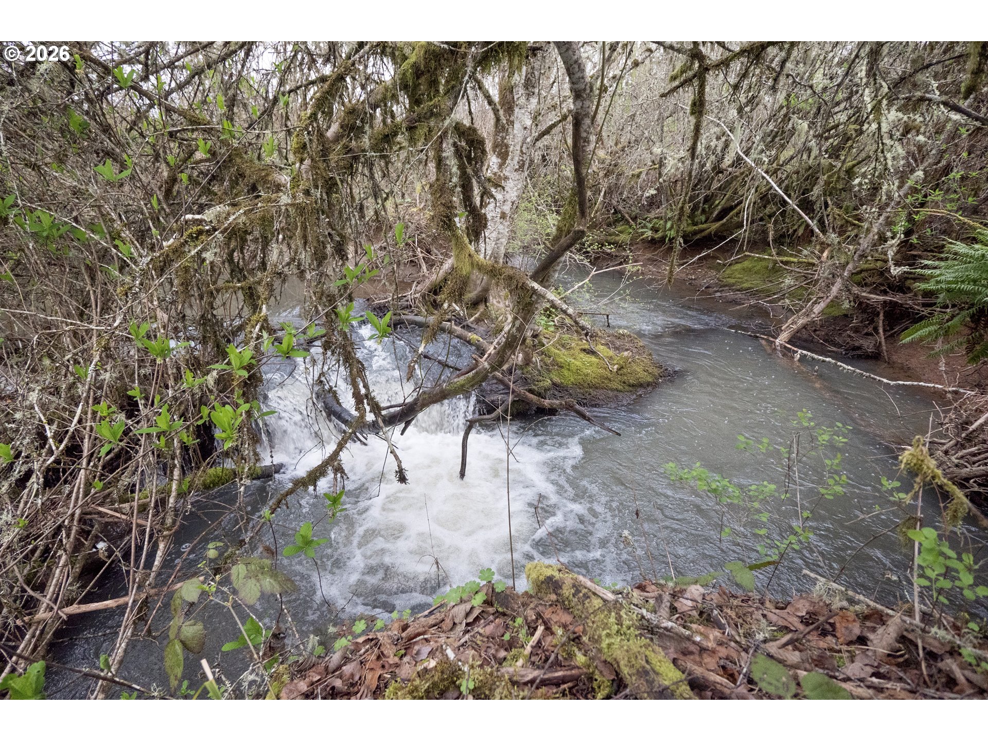 26630 SW THOMSON MILL RD