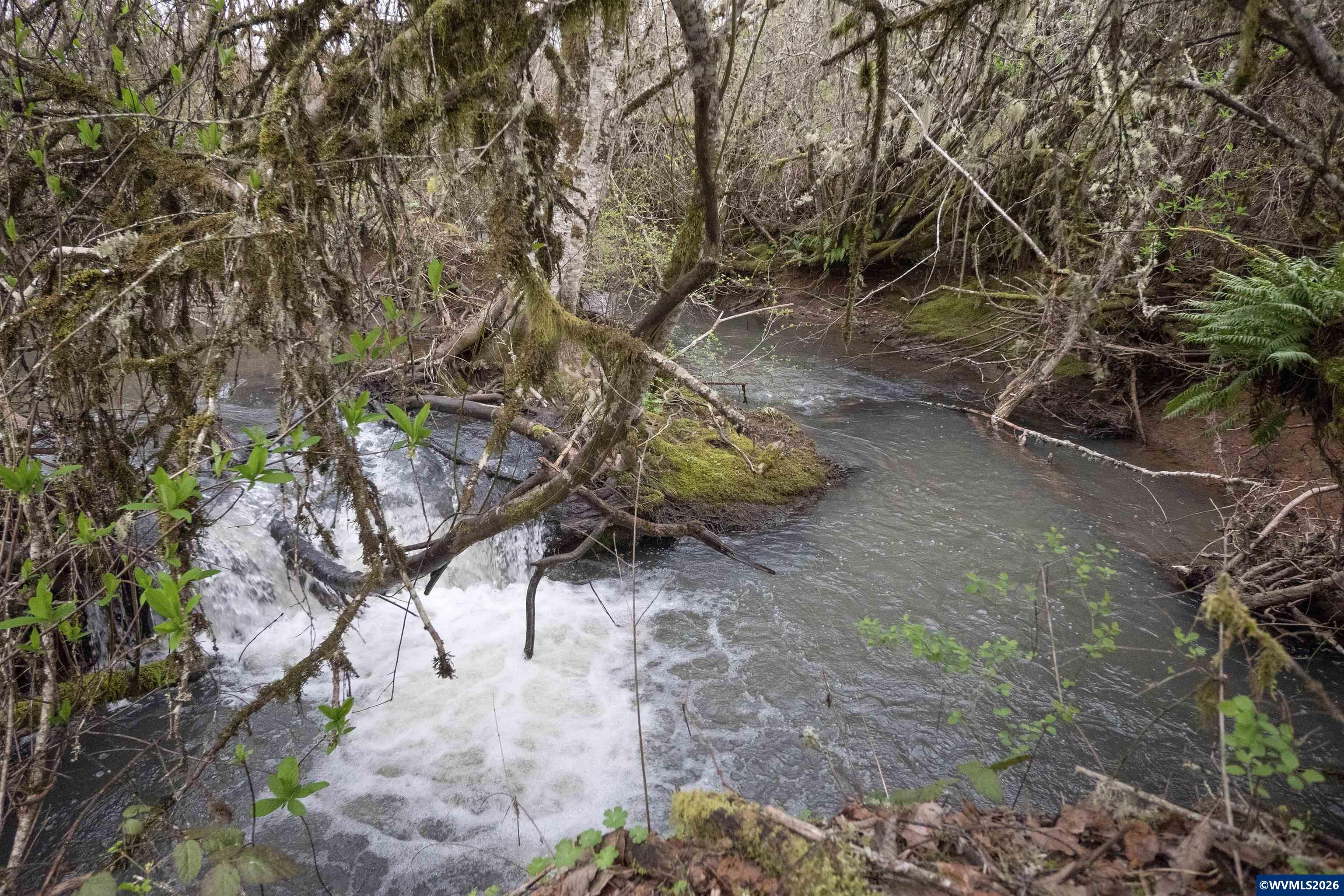 26630 SW Thomson Mill Rd