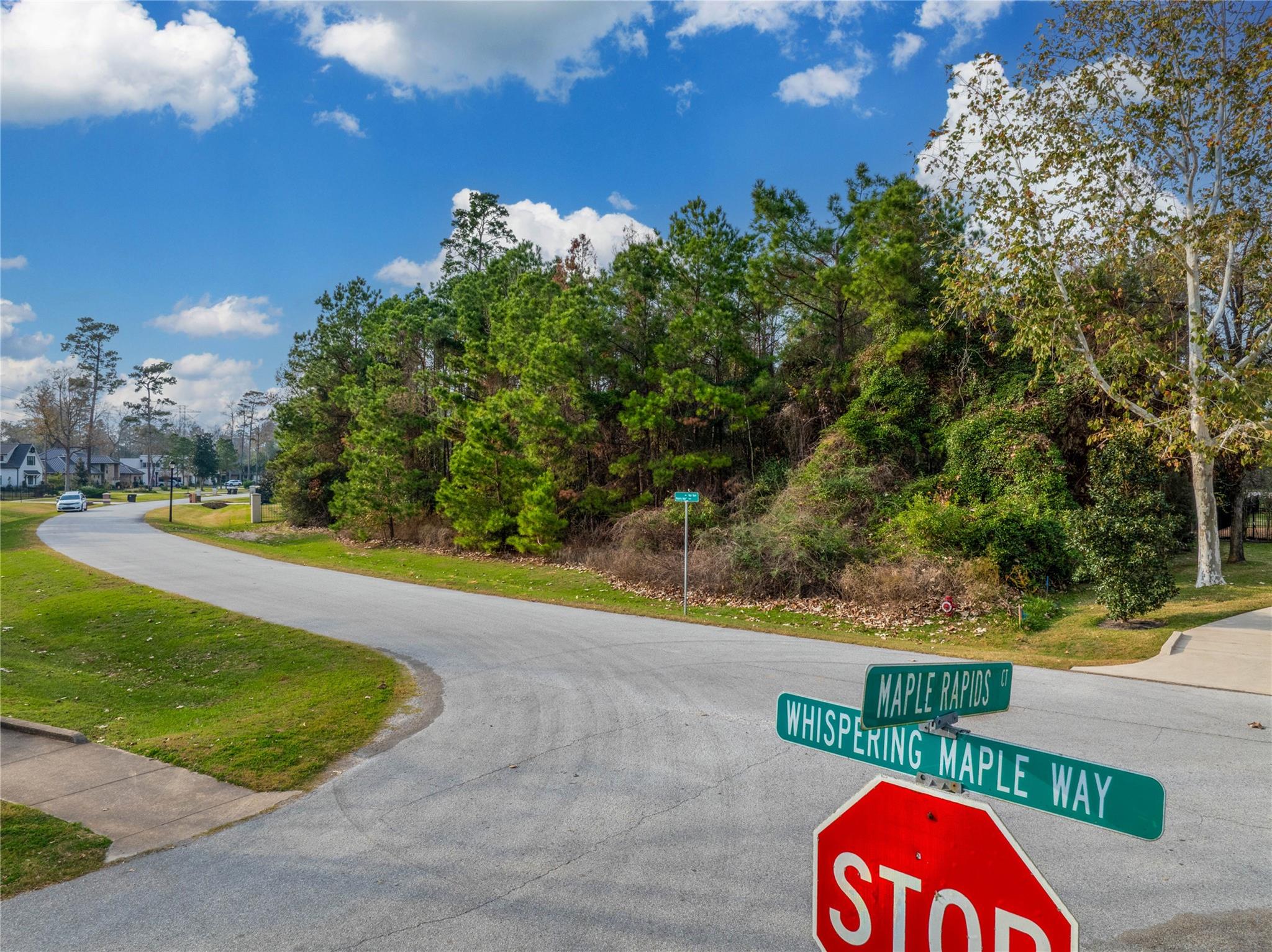 4227 Maple Rapids Lane