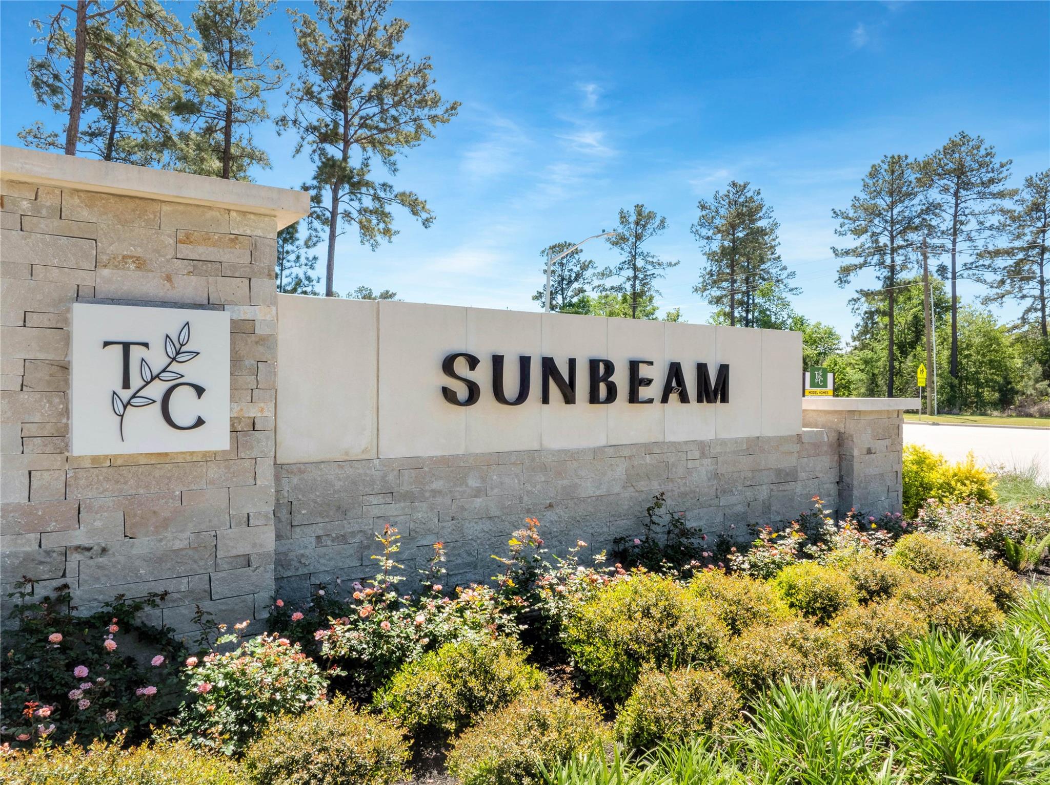 14204 Bright Dawn Drive