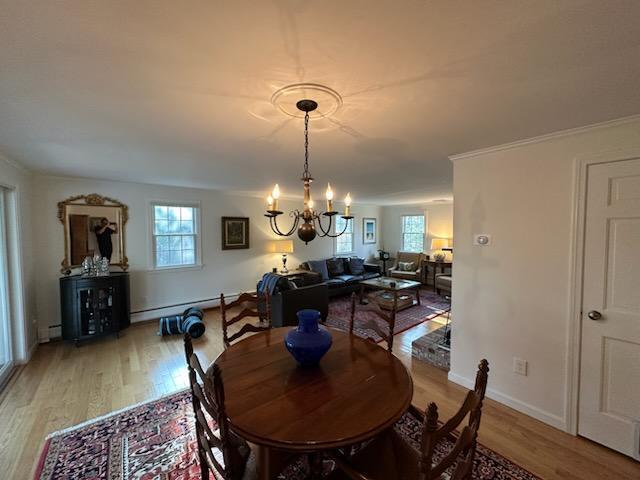 22 Oak Lane