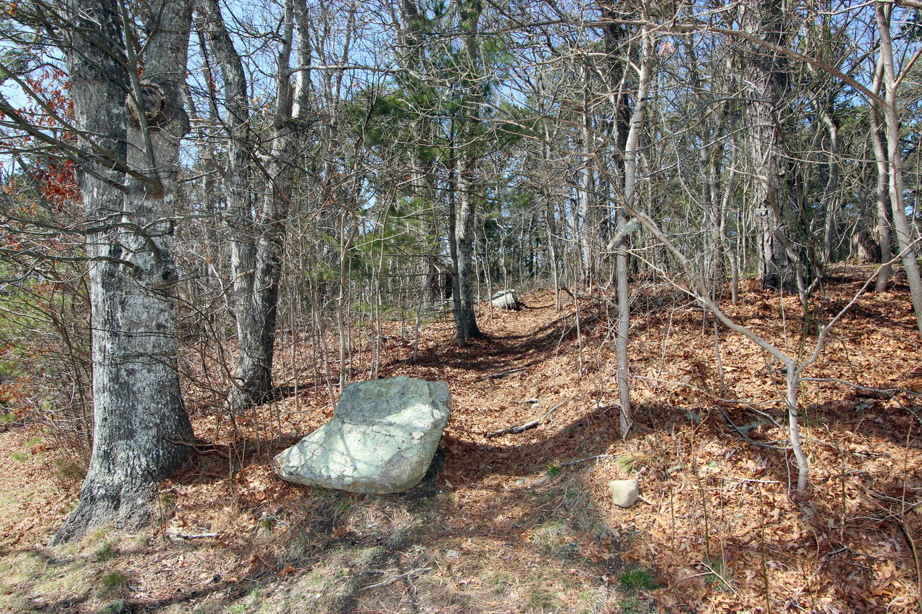 22 Oak Lane