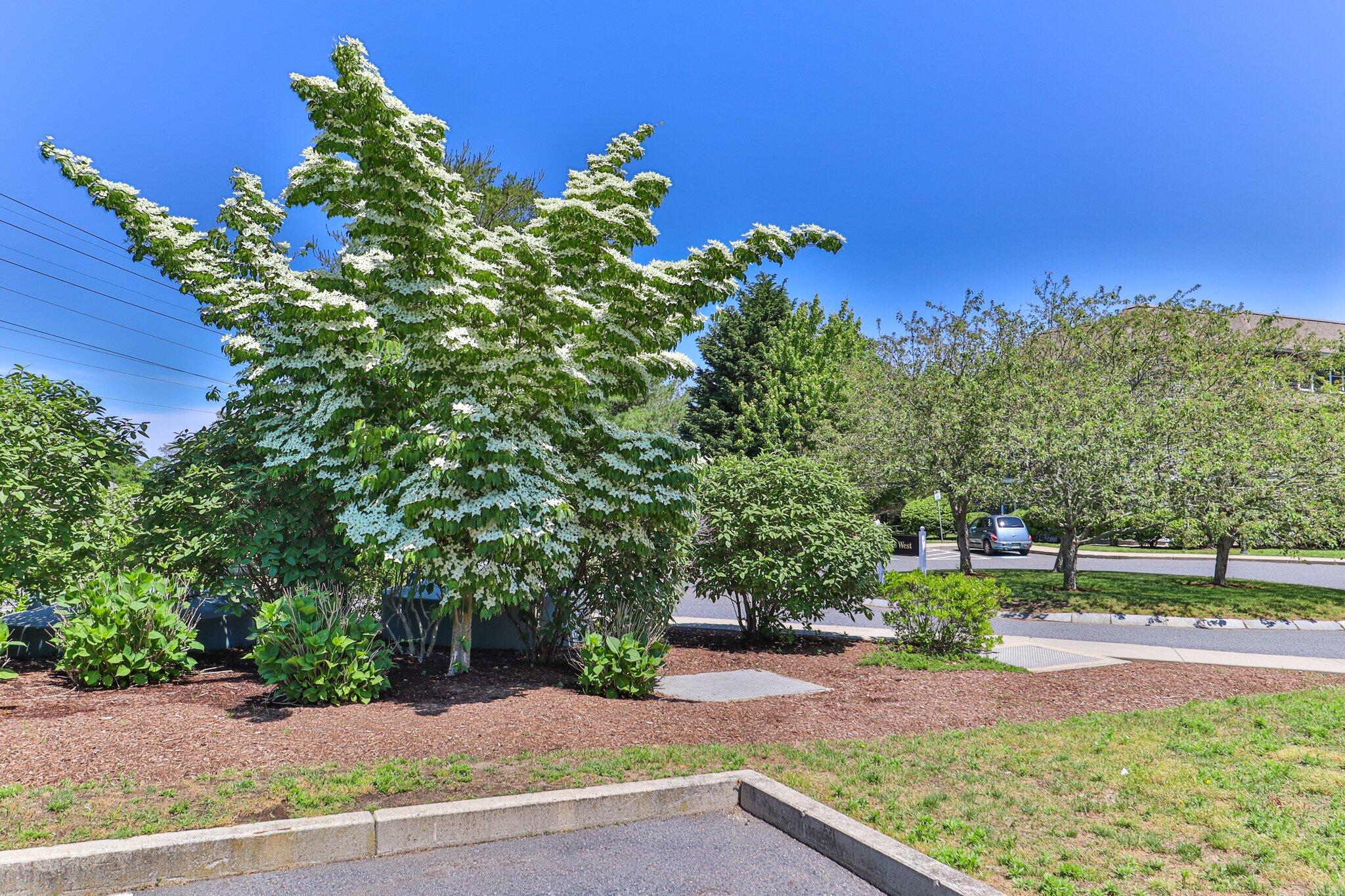 18 West Road # 311