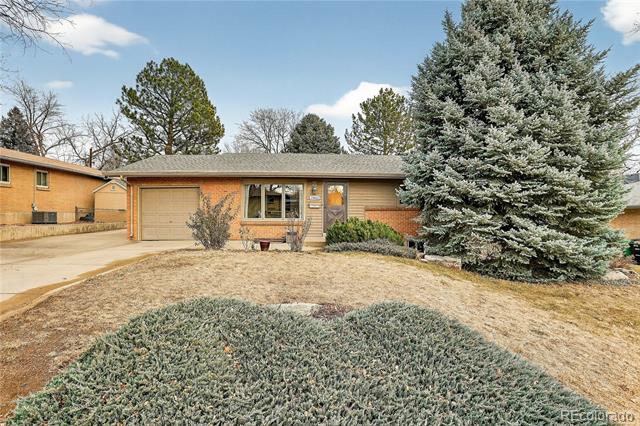 Single-story ranch home with an attached garage and a large evergreen tree in the front yard.