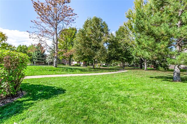 A broad green lawn with mature trees, shrubs, and a curved sidewalk.