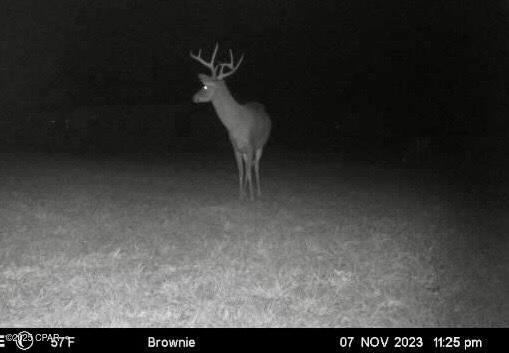 908 N Caryville Road