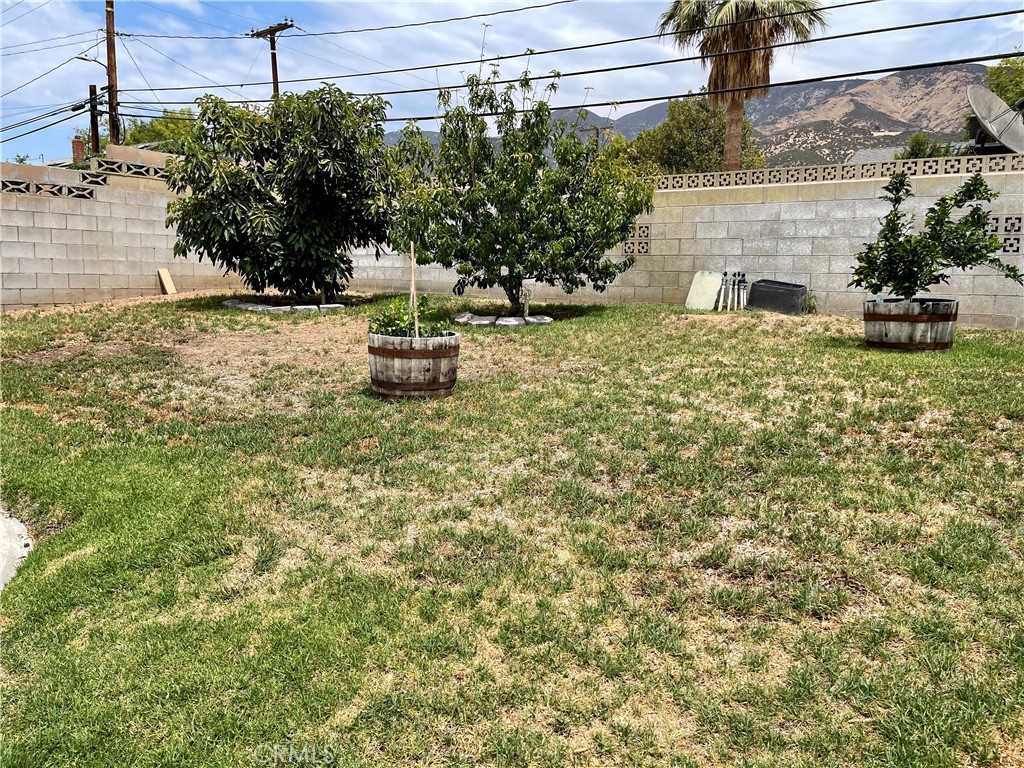 404 Northpark Boulevard