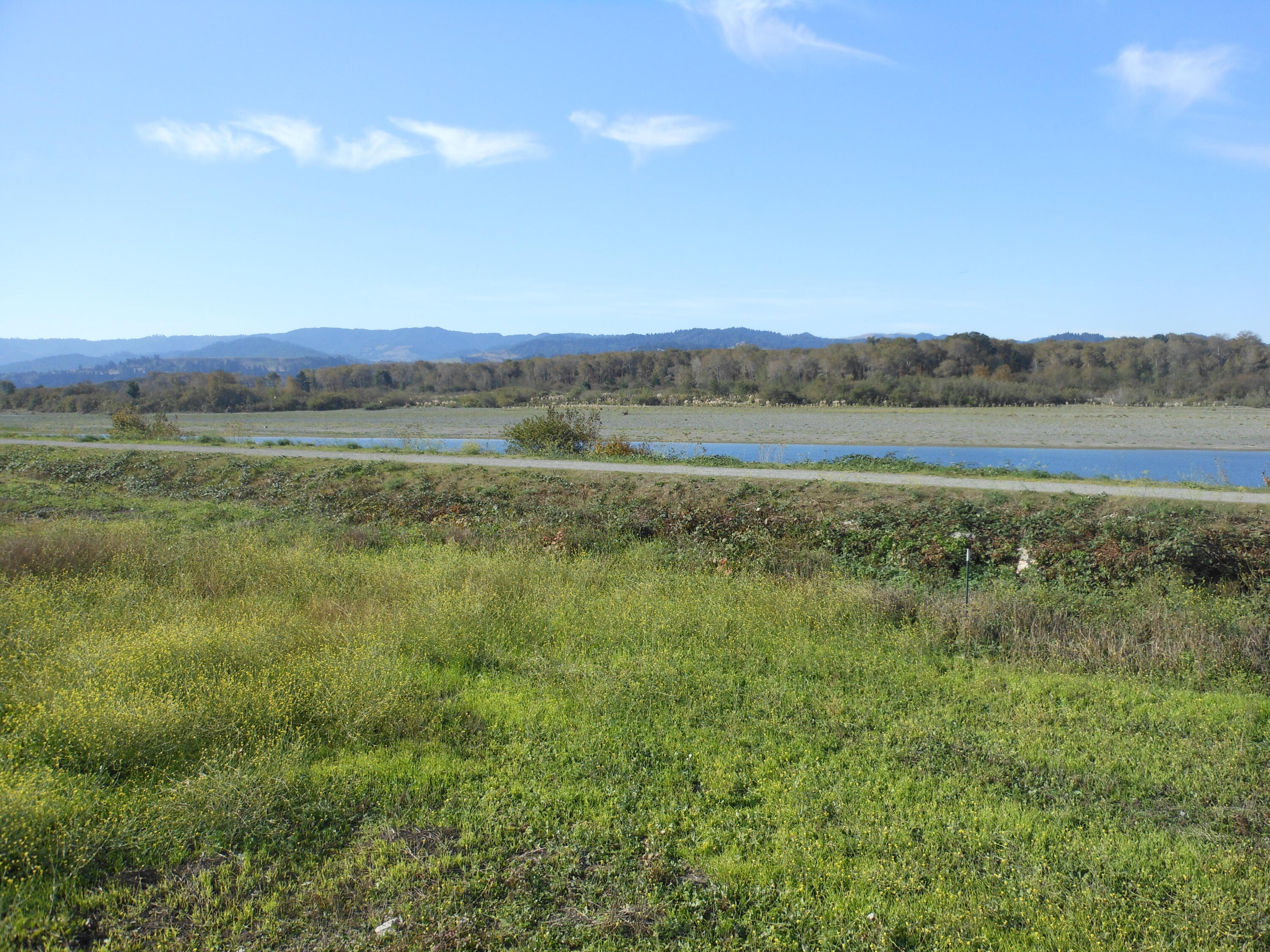 17 River Ranch Road