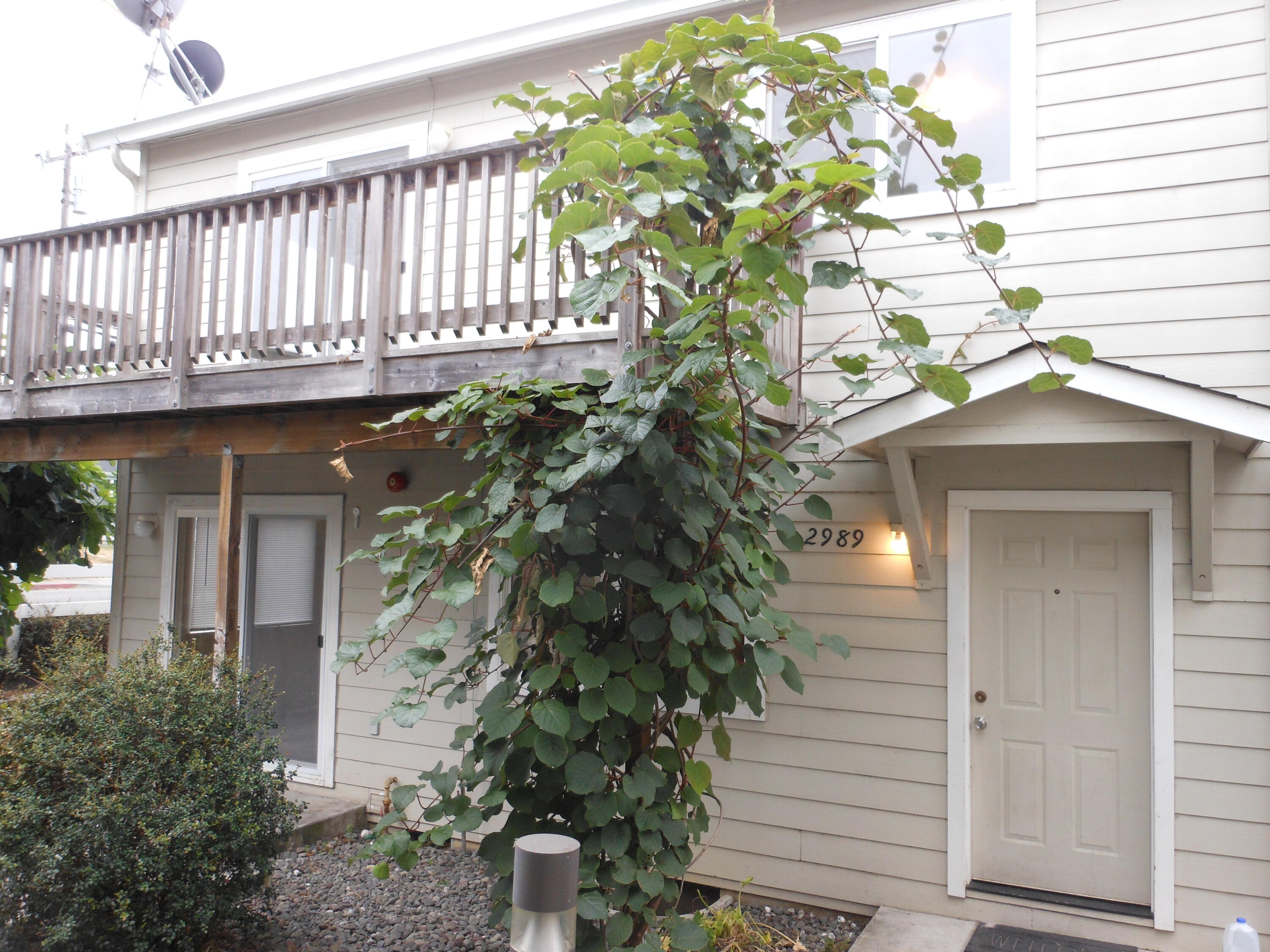 2989 Rainbow Lane