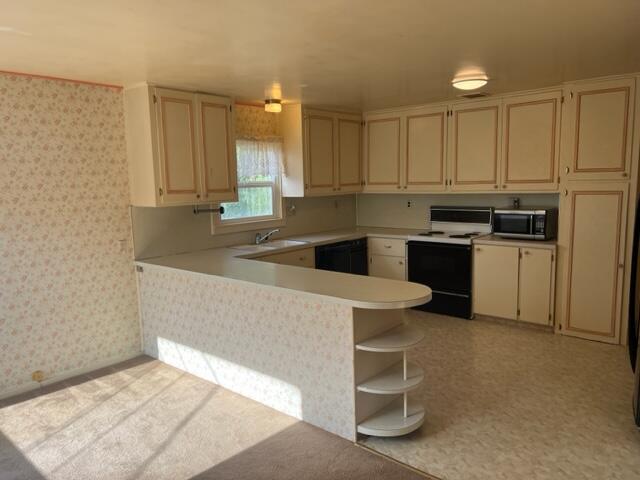 216 Newell Drive