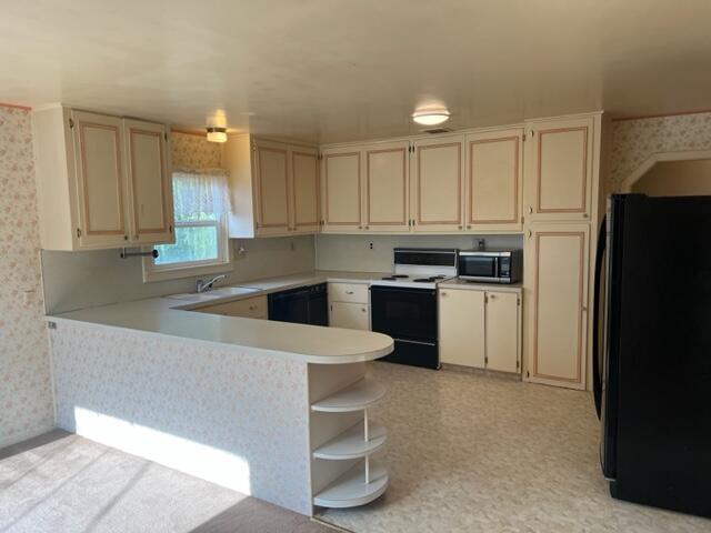 216 Newell Drive