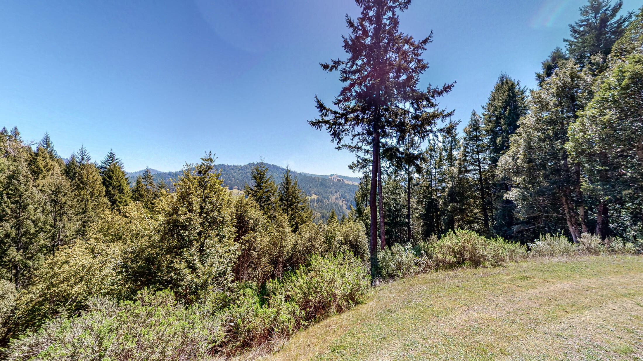 1505 Tim Mullen Road
