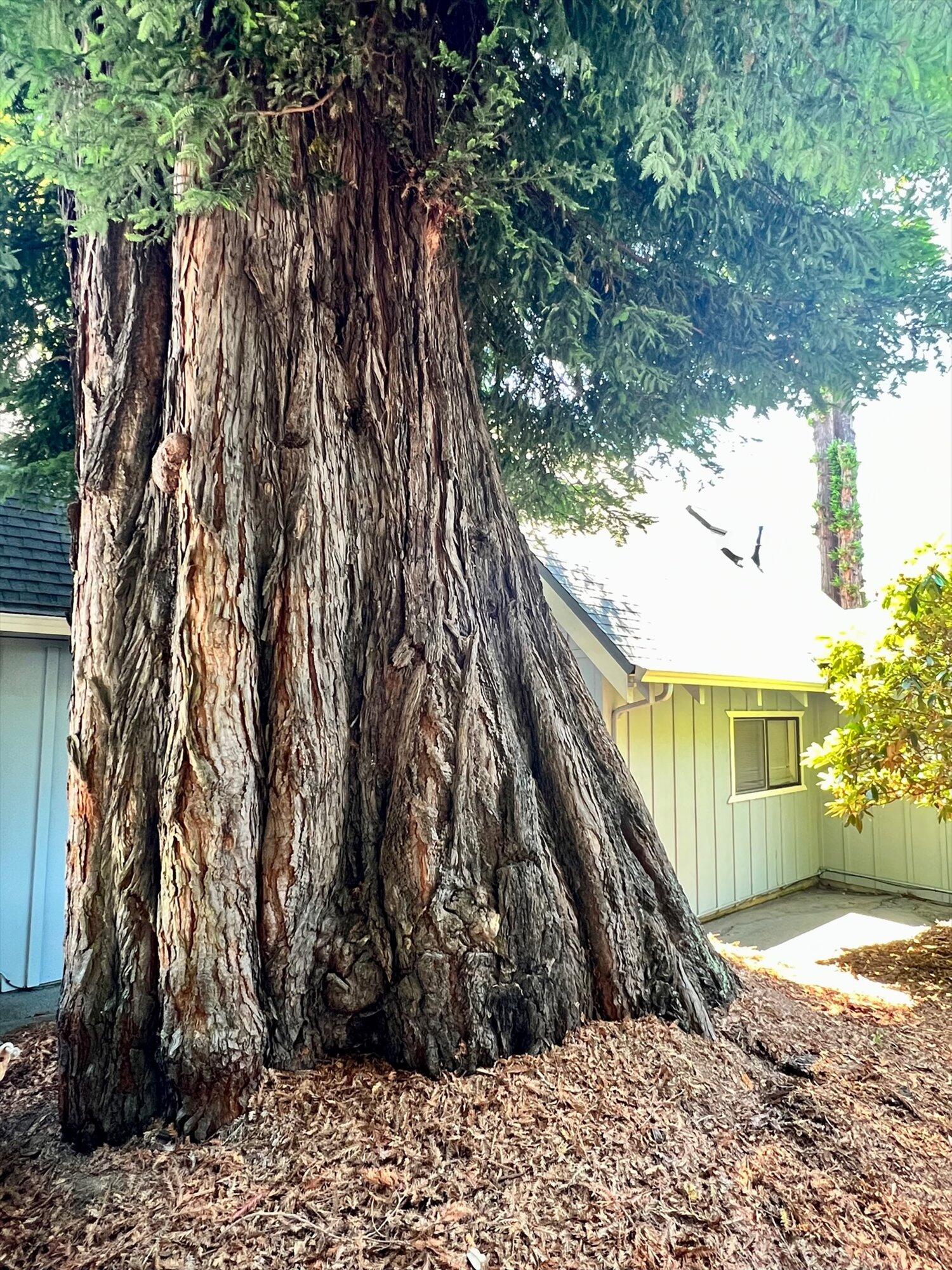 4865 Hidden Meadows Lane