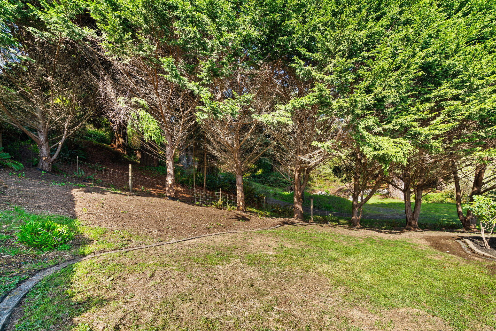 3980 Hillside Court