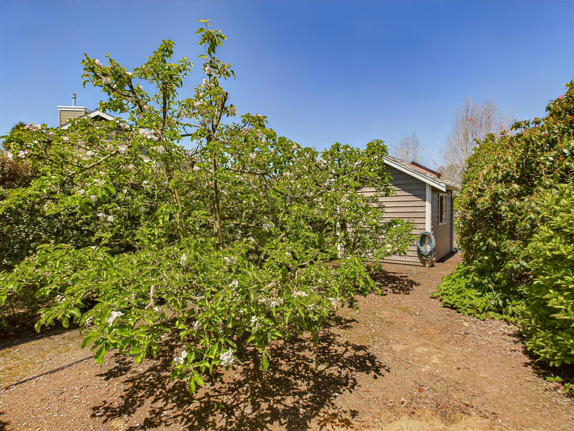 5798 Matsen Way
