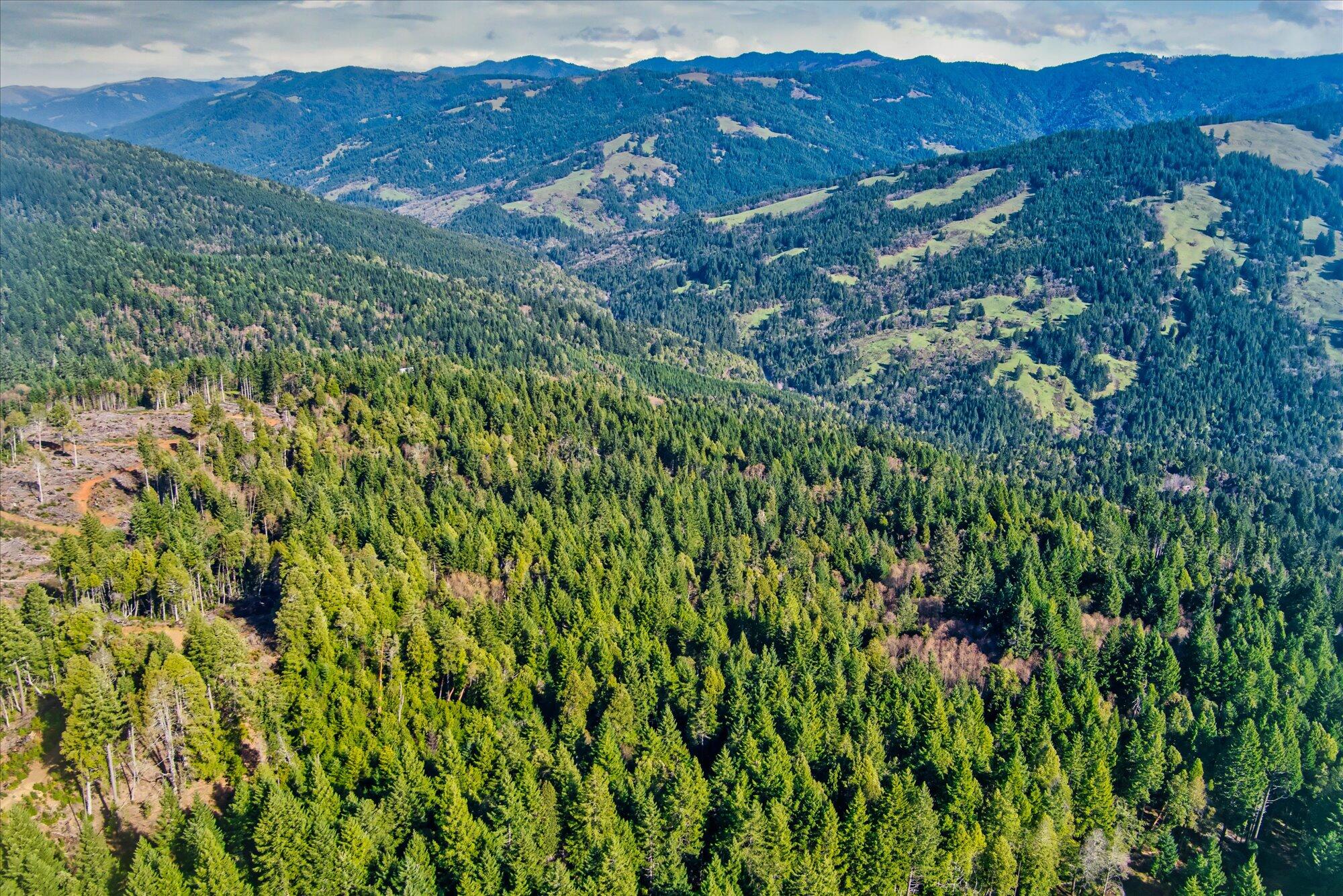 19000 Hwy 299