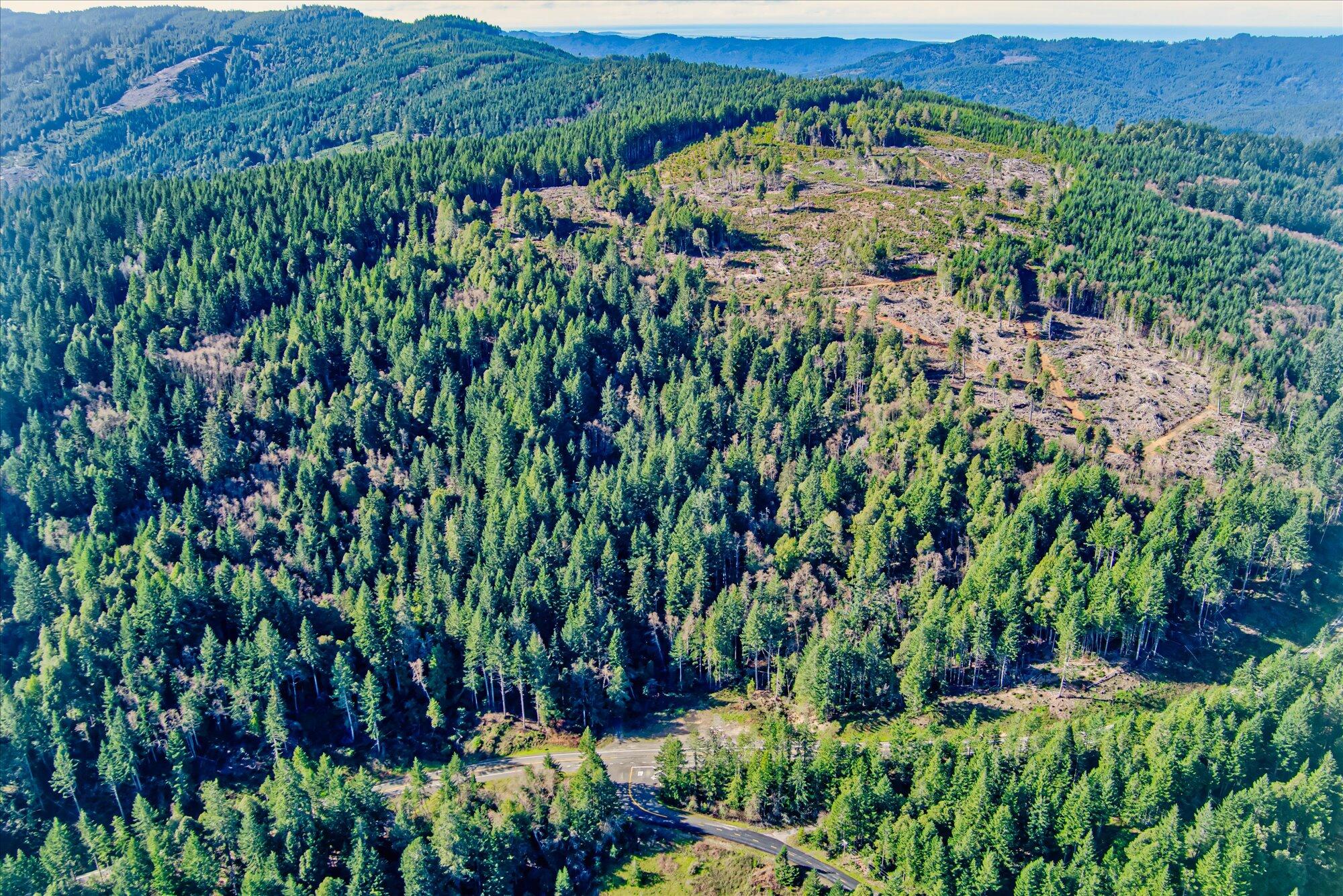 19000 Hwy 299