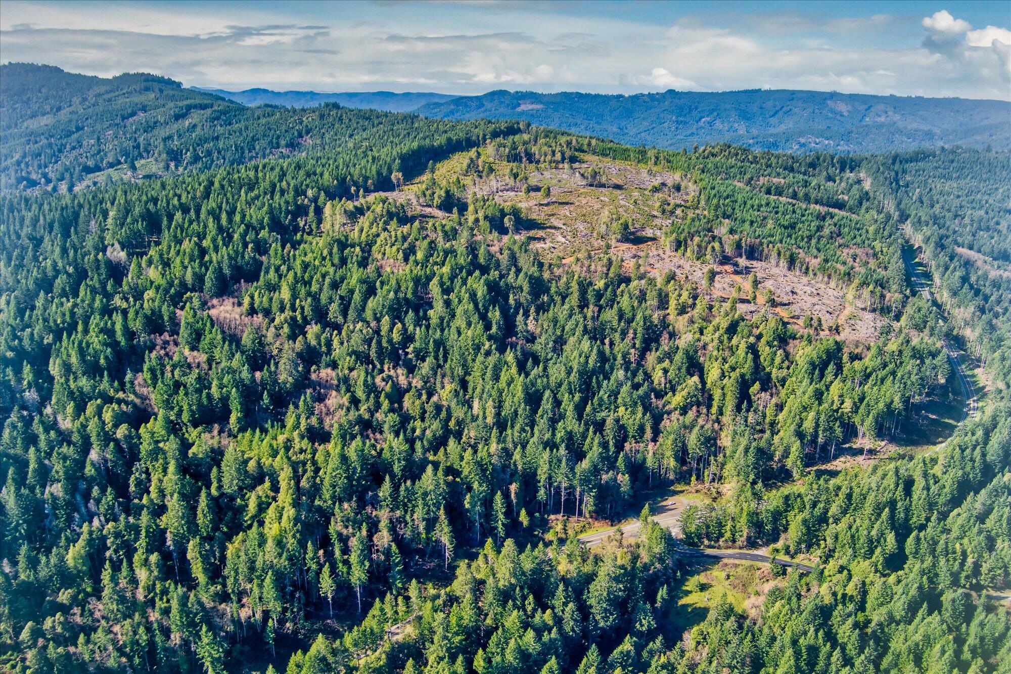 19000 Hwy 299