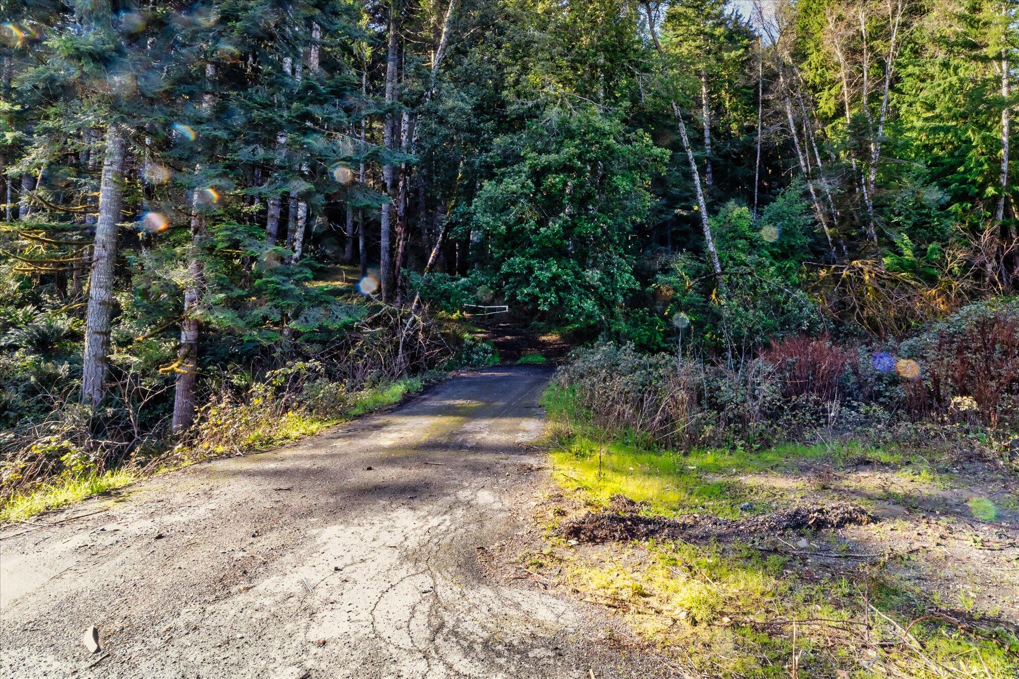 19000 Hwy 299