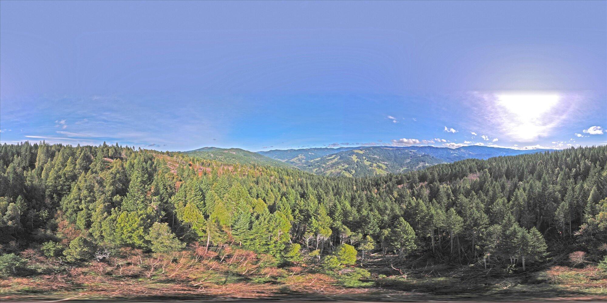 19000 Hwy 299